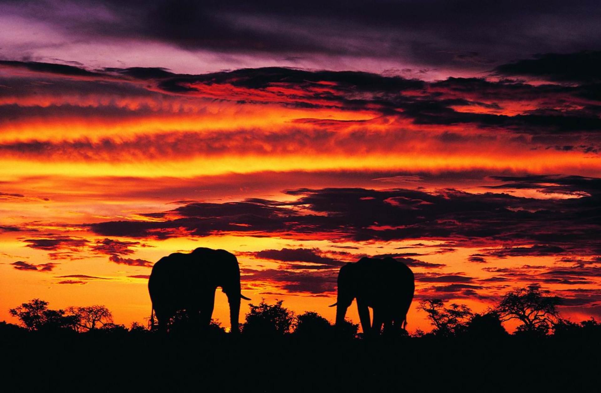 fondo de pantalla de sudáfrica,cielo,resplandor crepuscular,puesta de sol,cielo rojo en la mañana,nube