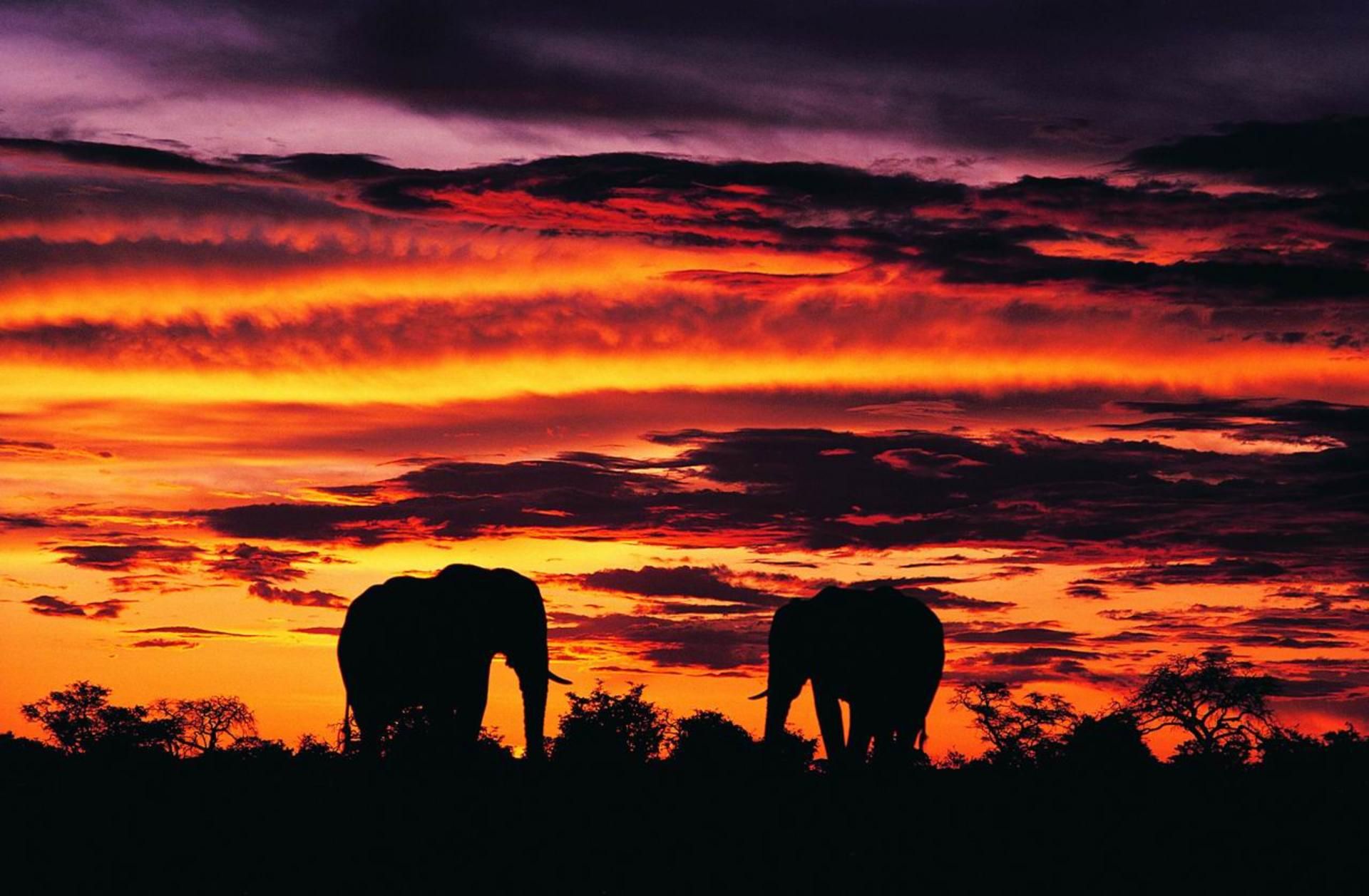 tapete südafrika,himmel,nachglühen,sonnenuntergang,roter himmel am morgen,wolke