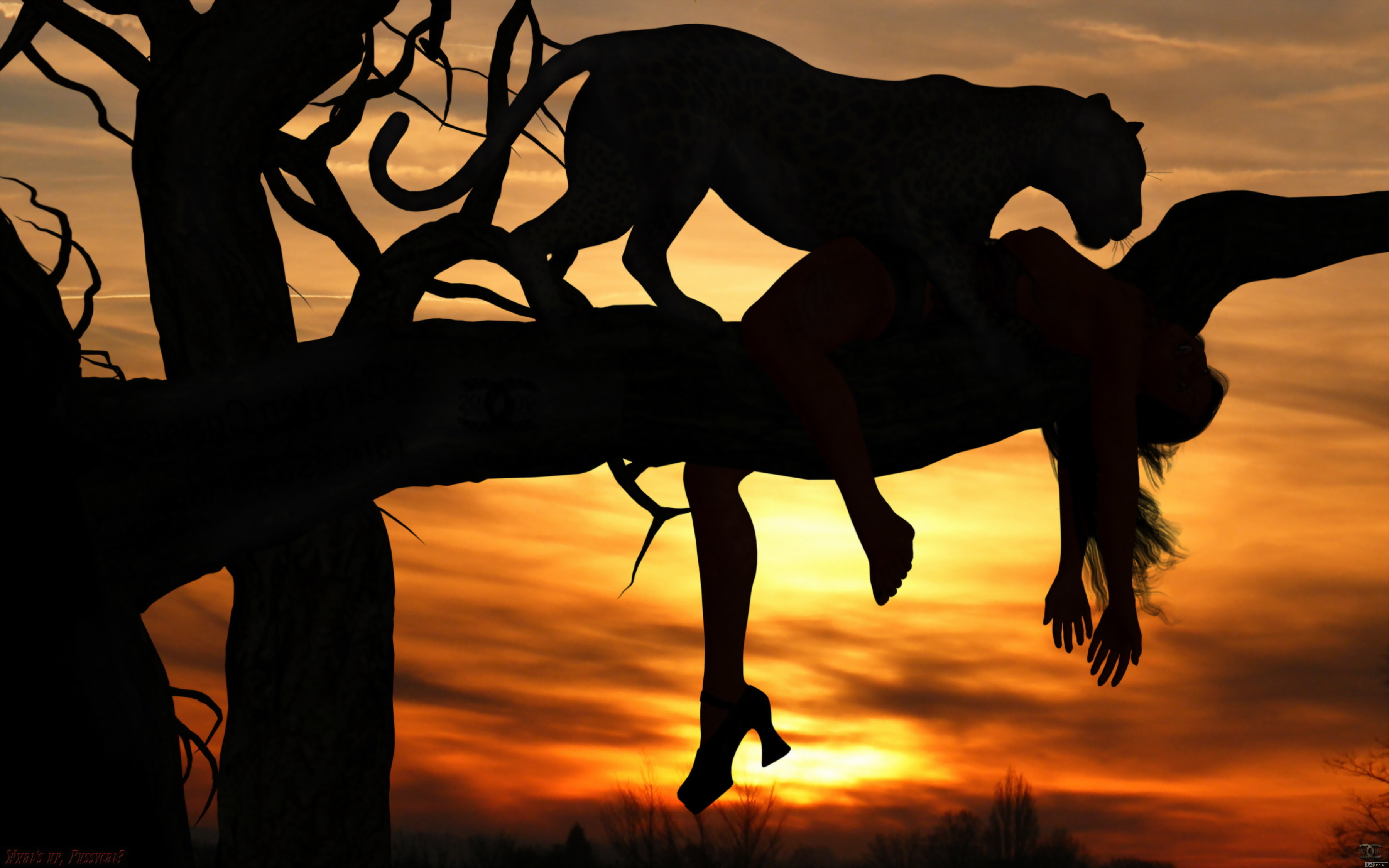 wallpaper south africa,sky,horse,silhouette,tree,wildlife