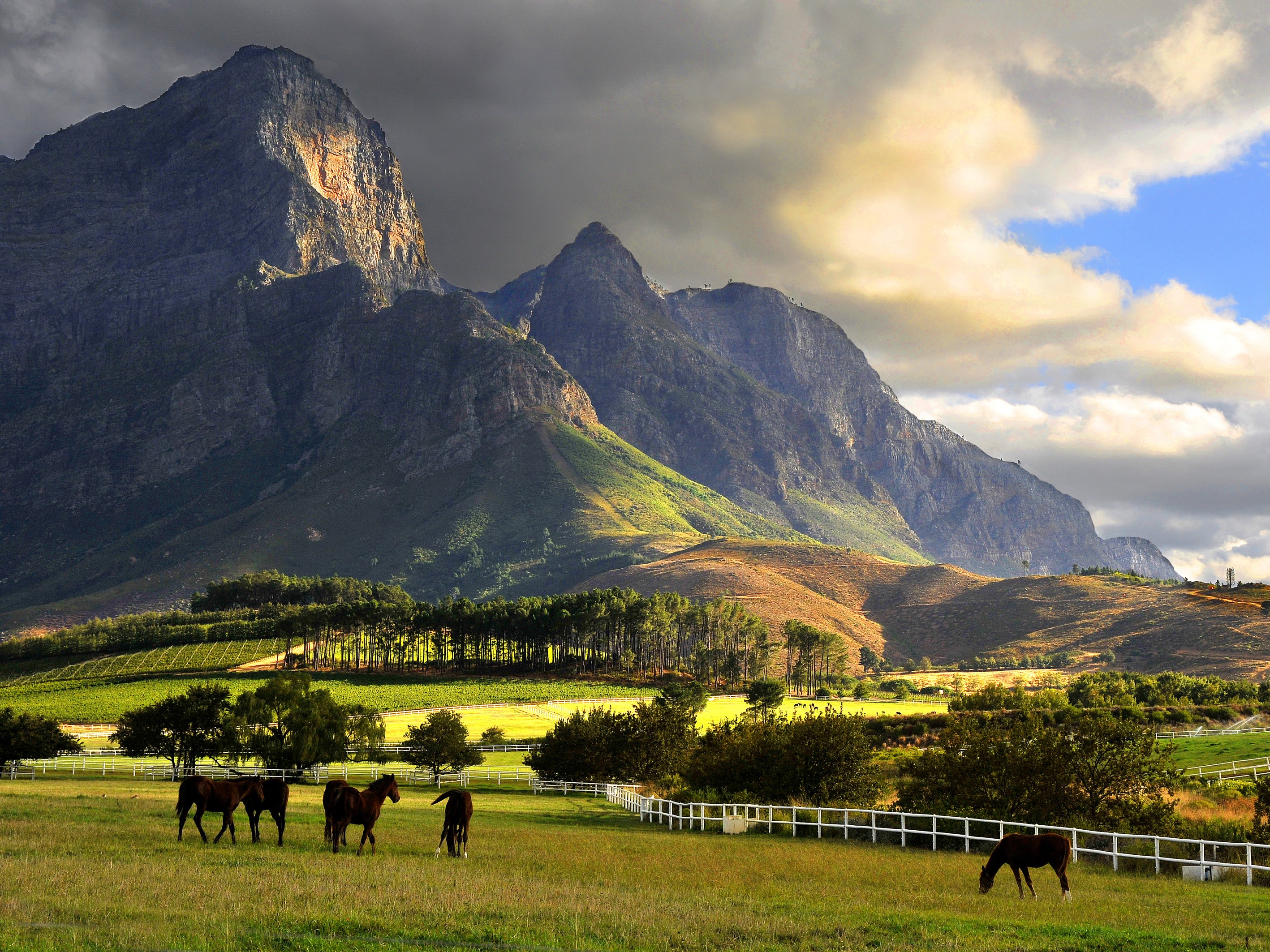 배경 남아프리카,자연 경관,목초지,자연,산,농장