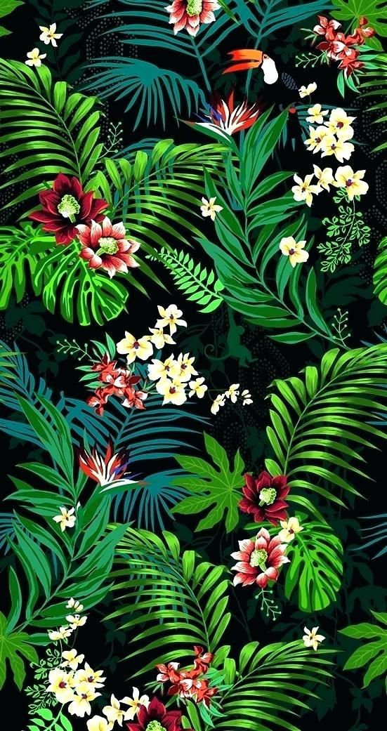 iphone wallpaper tumblr hd,plant,leaf,flower,vegetation,natural environment
