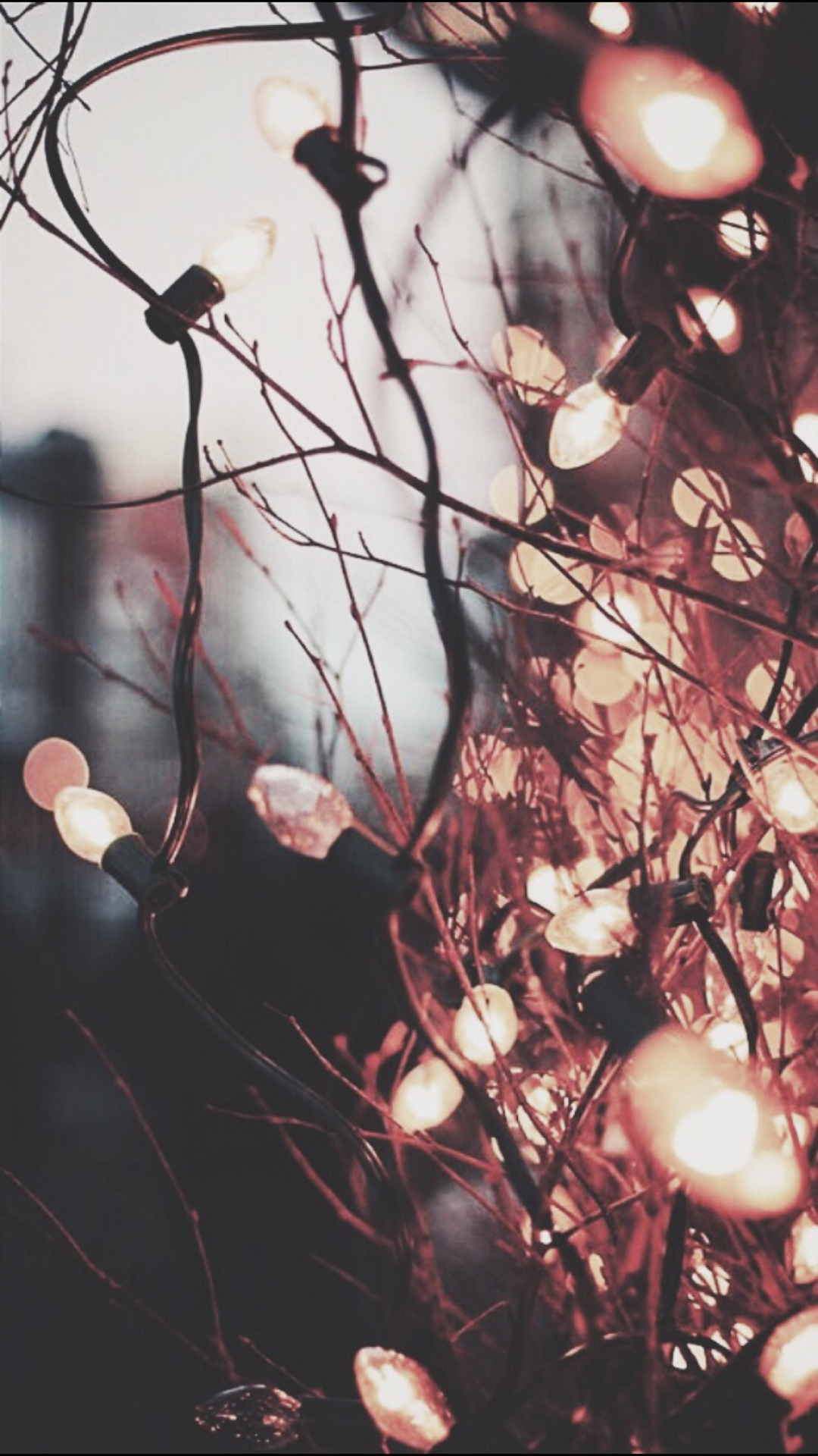 iphone fondos de pantalla tumblr hd,ramita,árbol,primavera,planta,flor