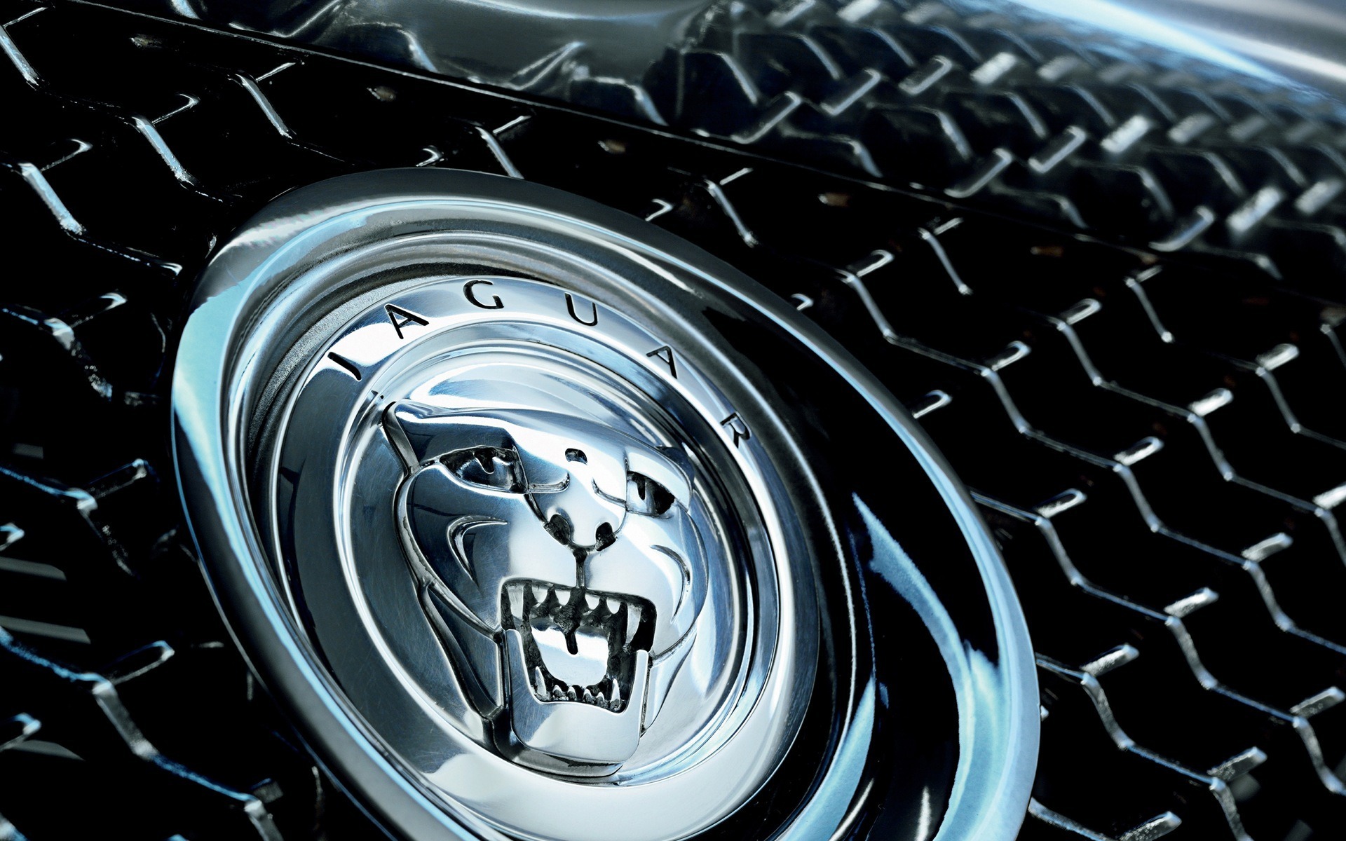 auto jaguar sfondi hd,veicolo a motore,ruota,bordo,veicolo,acqua
