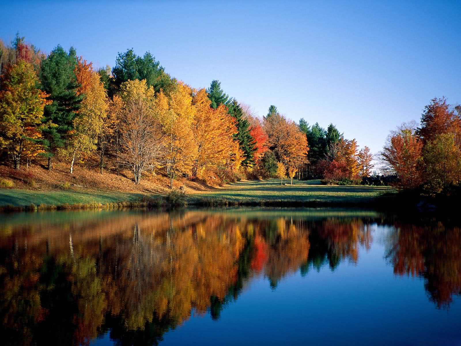 beaux fonds d'écran de paysages,réflexion,paysage naturel,la nature,arbre,l'eau