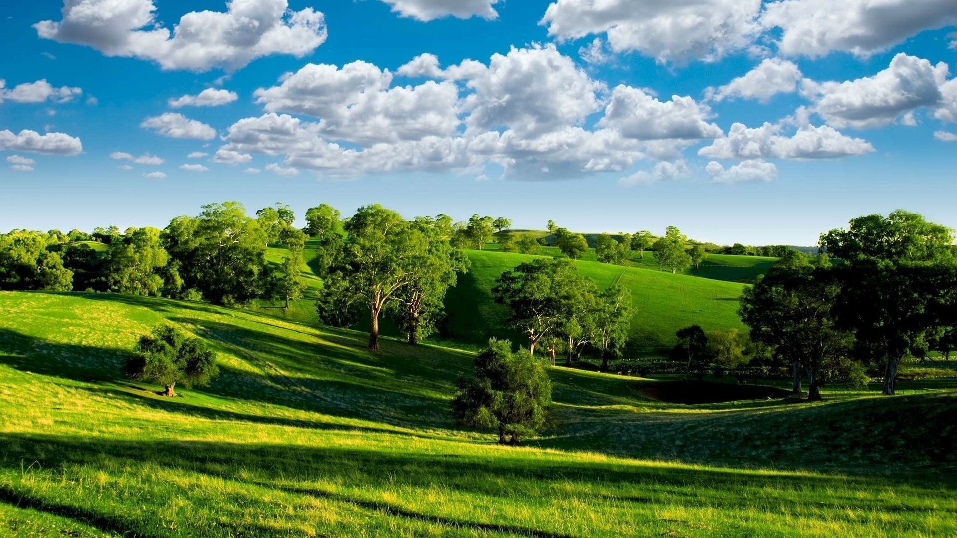 美しい風景の壁紙 自然の風景 自然 緑 空 草原 Wallpaperuse