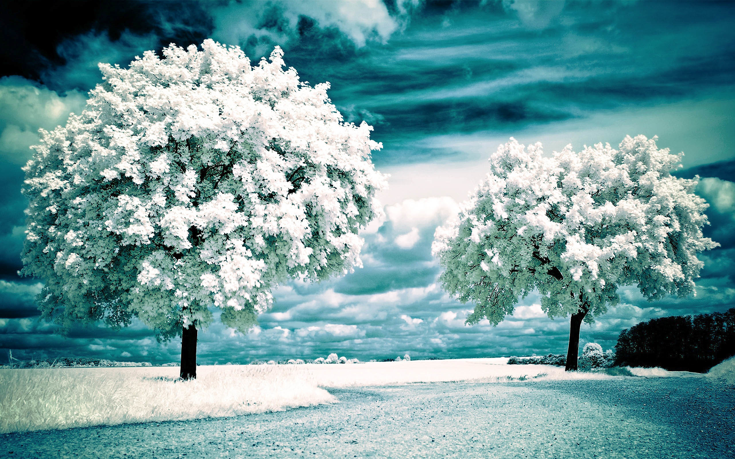 hermosos paisajes fondos de pantalla,cielo,naturaleza,árbol,paisaje natural,azul