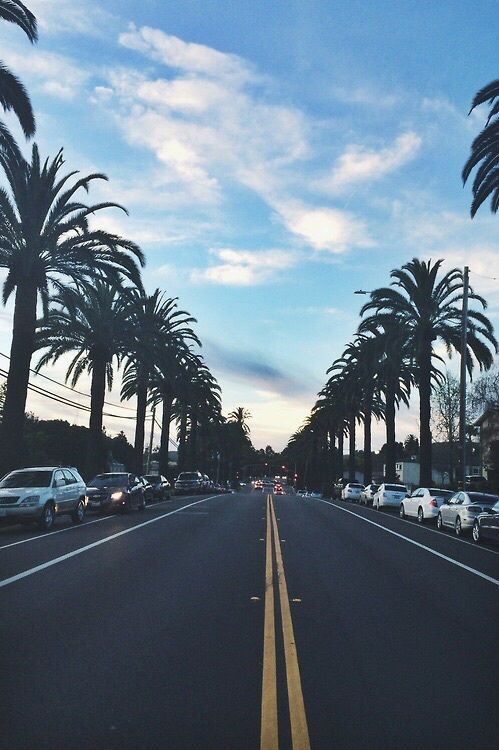 wallpapers tumblr hd,tree,sky,road,asphalt,lane