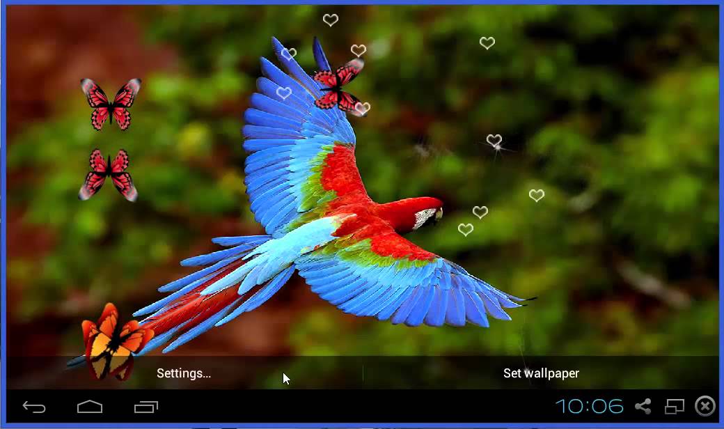 oiseaux live wallpaper,oiseau,ara,perroquet,aile,plante