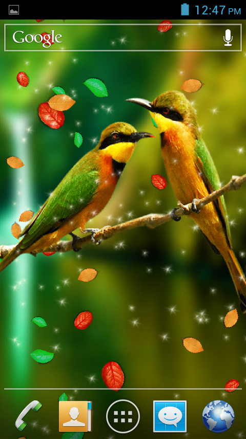 birds live wallpaper,nature,bird,wildlife,beak,adaptation