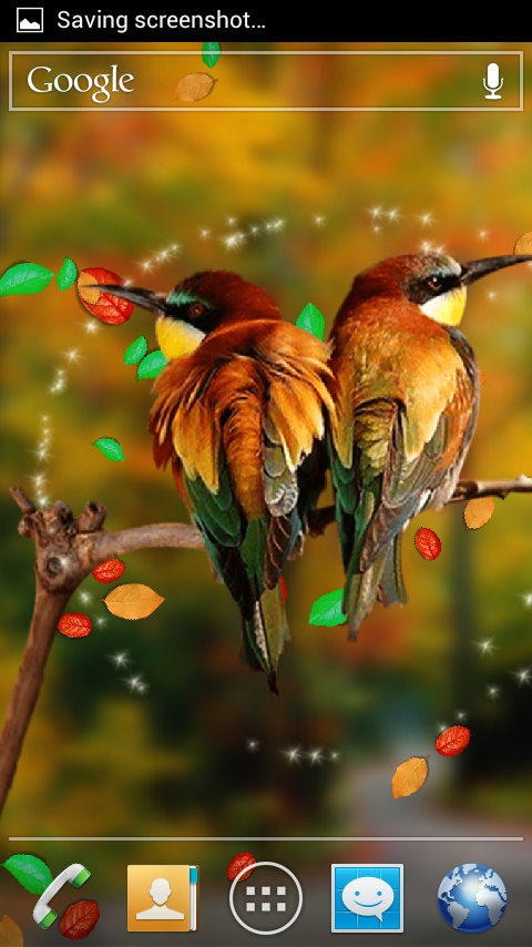 birds live wallpaper,bird,beak,wildlife,coraciiformes,hummingbird
