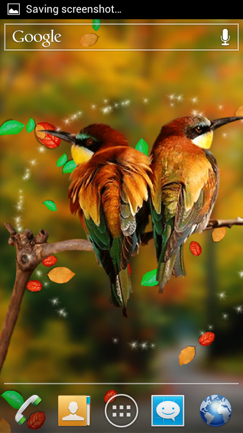 uccelli live wallpaper,uccello,natura,coraciiformes,colibrì,mangiatore di api