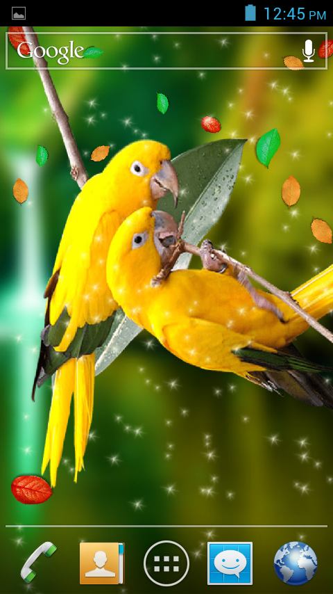 pájaros live wallpaper,amarillo,fauna silvestre,pájaro,planta,fotografía macro