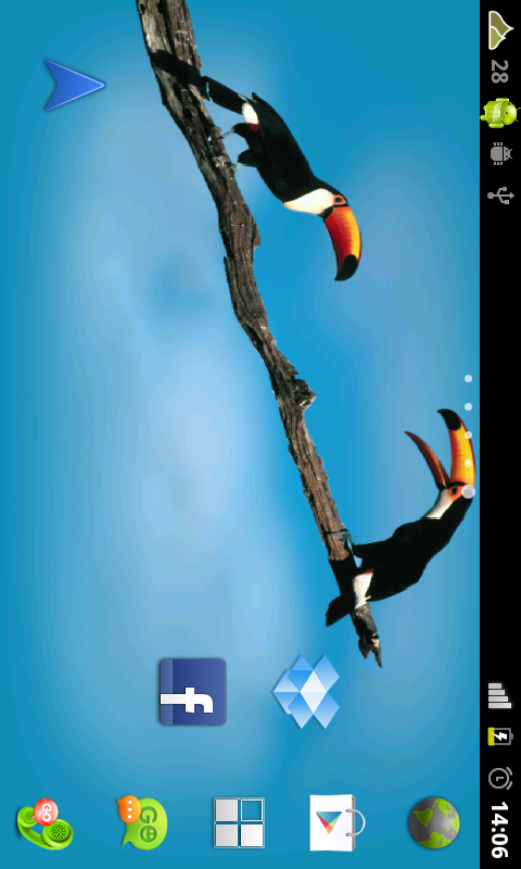 pájaros live wallpaper,captura de pantalla,pájaro,tucán,pez anémona,árbol