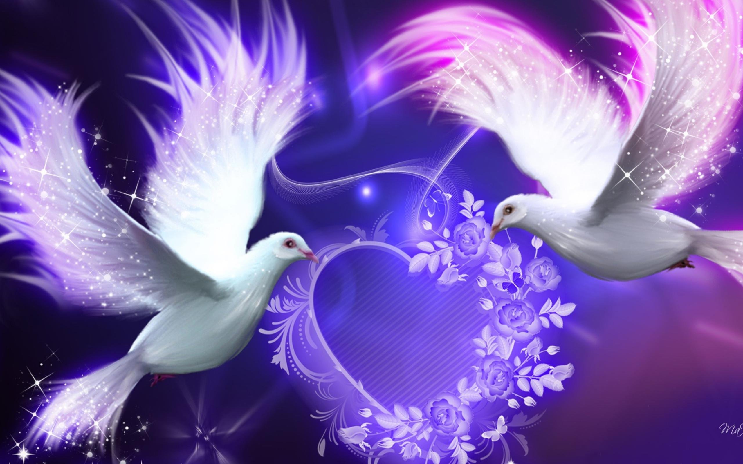 birds live wallpaper,purple,violet,wing,bird,feather