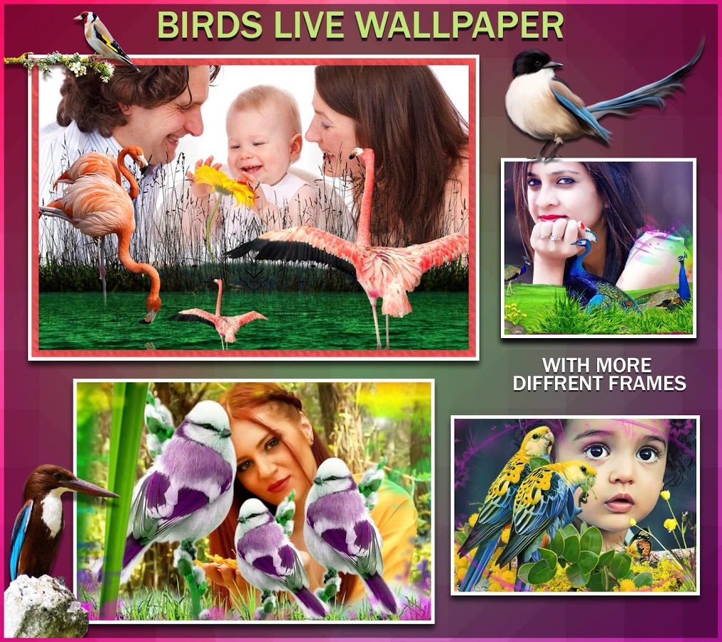 uccelli live wallpaper,collage,arte,fotografia,fotomontaggio,bambino