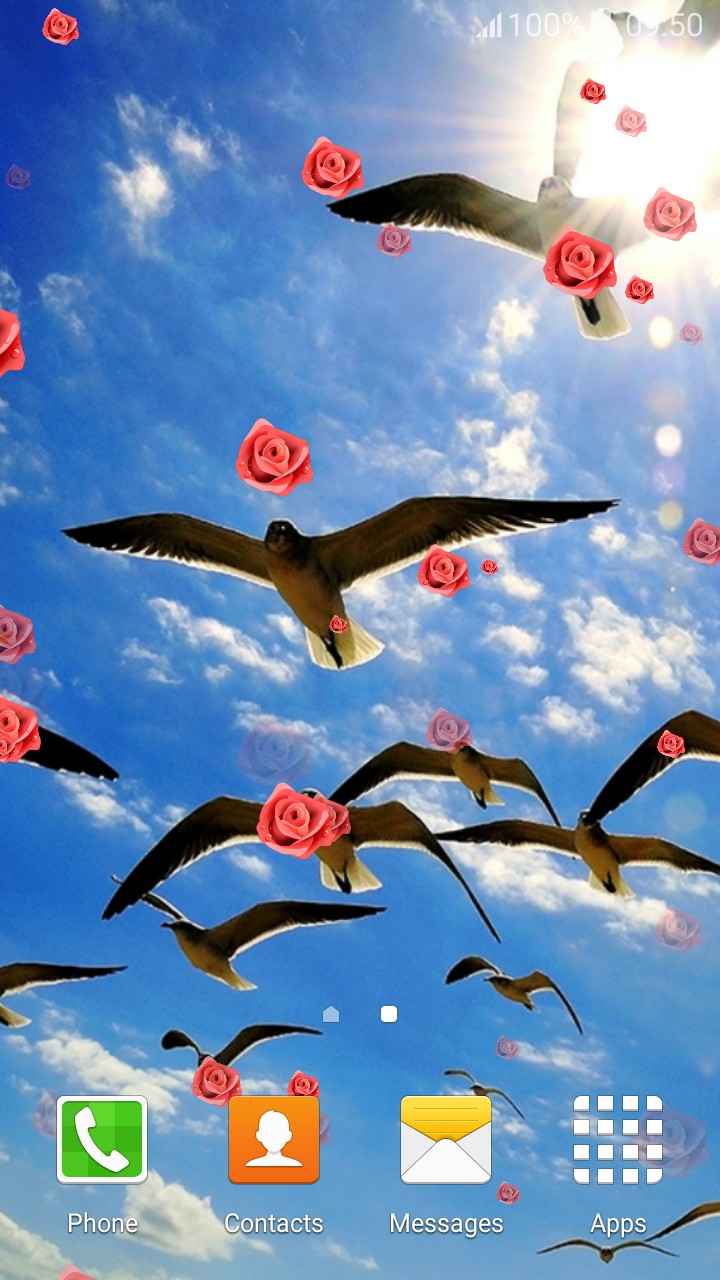 birds live wallpaper,sky,illustration,bird,animation,seabird