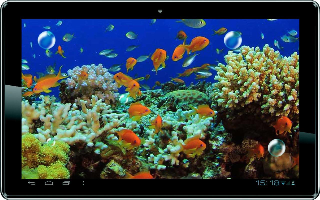 3d fish live wallpaper,coral reef,reef,coral,natural environment,organism