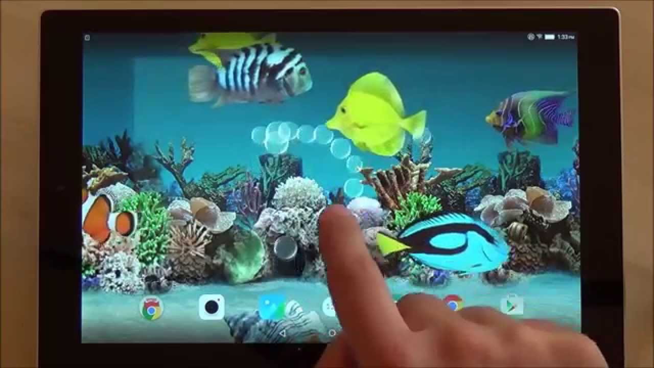 3d pesce live wallpaper,biologia marina,subacqueo,pesce,acquario,pesci di barriera corallina