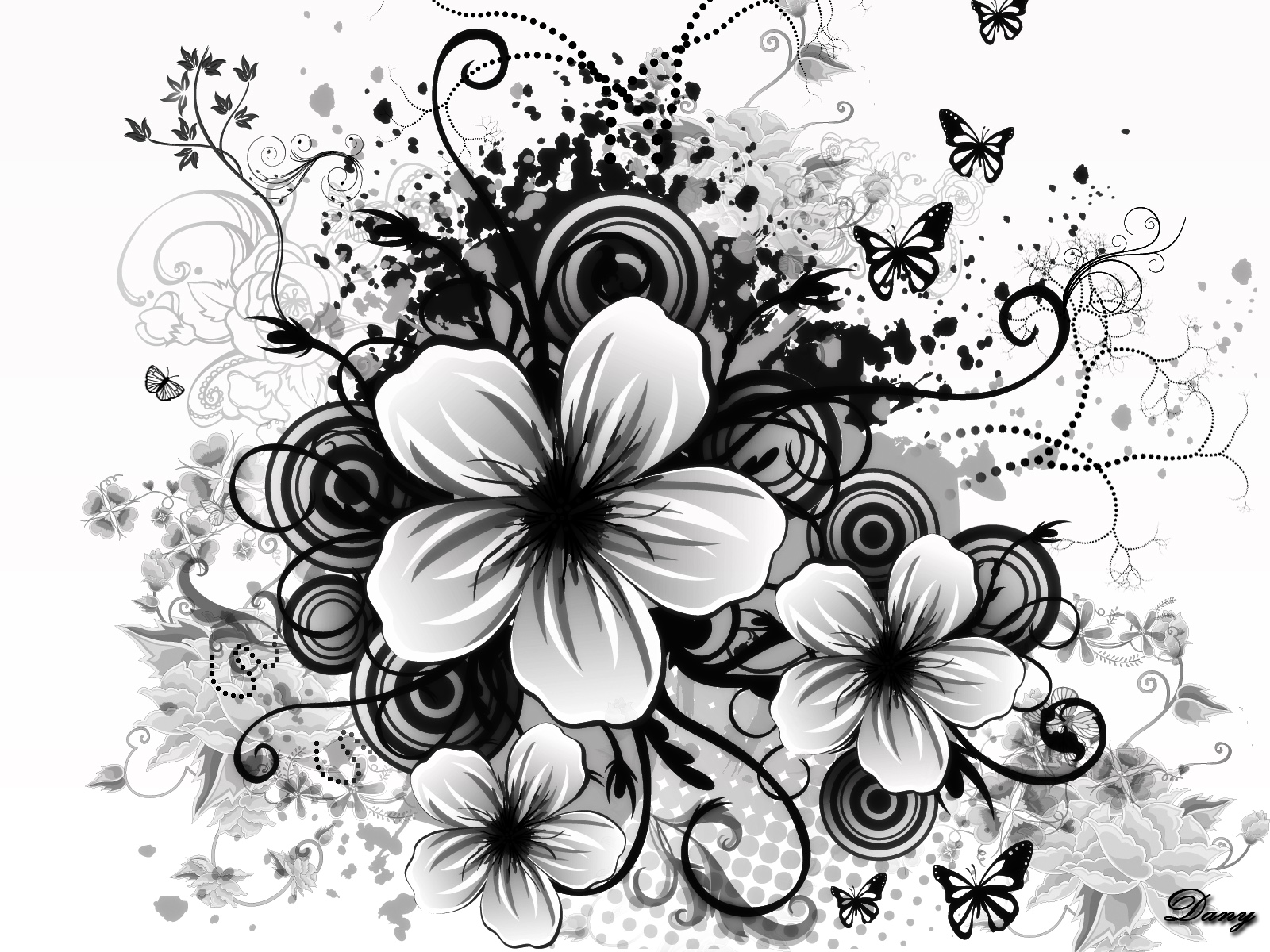papier peint fleur noir et blanc,noir et blanc,photographie monochrome,fleur,pétale,plante