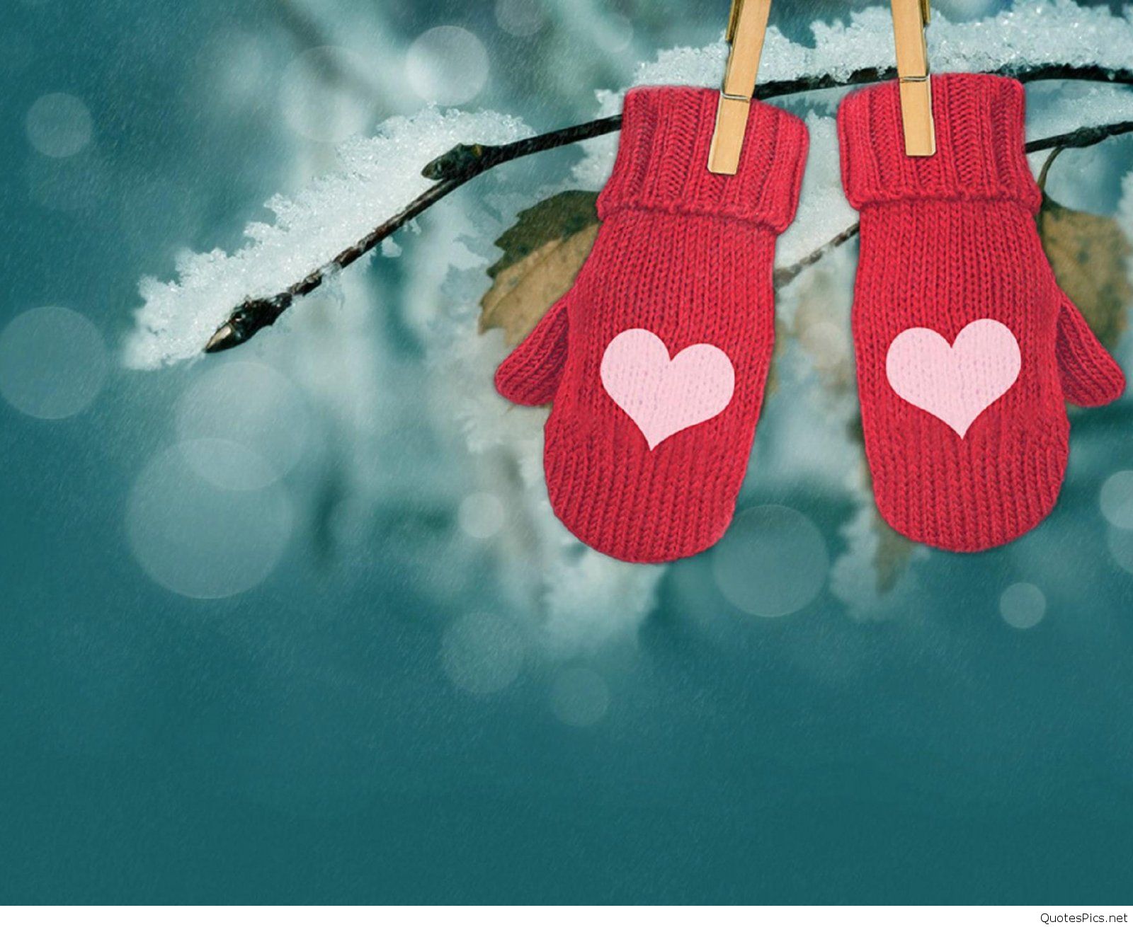 love wallpapers for android,red,pink,footwear,tree,love