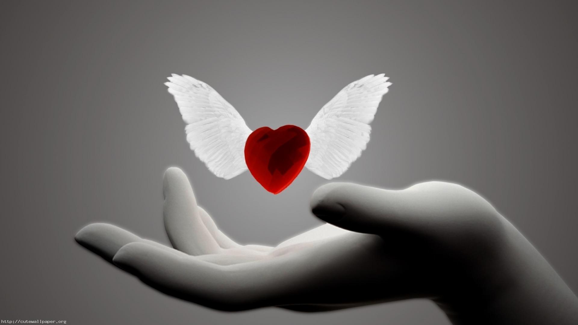 new wallpaper hd love,red,hand,wing,love,heart