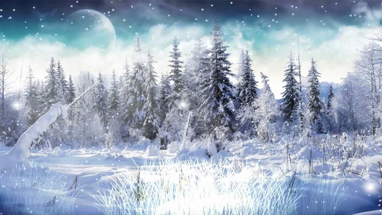 fondo de pantalla de nieve de invierno,naturaleza,paisaje natural,invierno,nieve,cielo