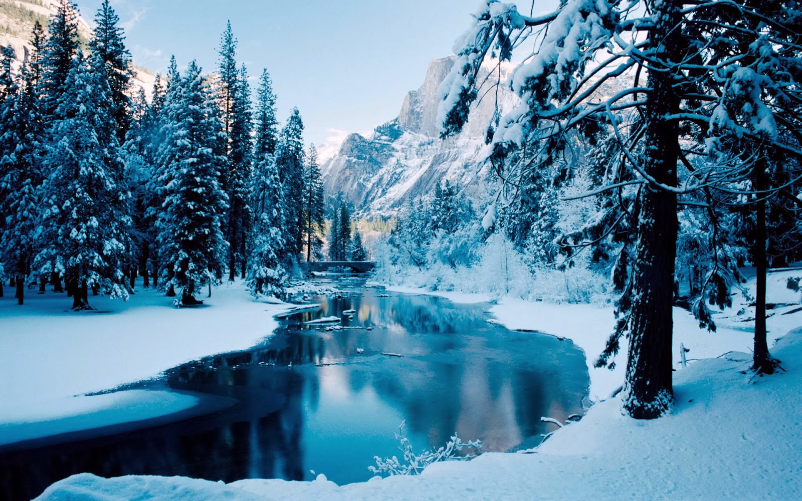 winter snow wallpaper,snow,winter,natural landscape,nature,tree