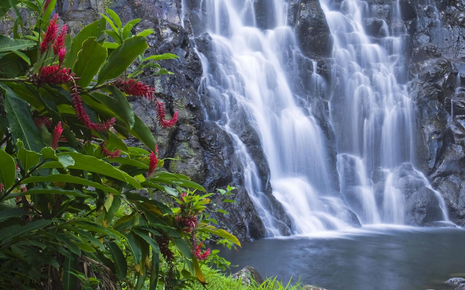 moving wallpaper herunterladen,wasserfall,gewässer,wasservorräte,natürliche landschaft,natur