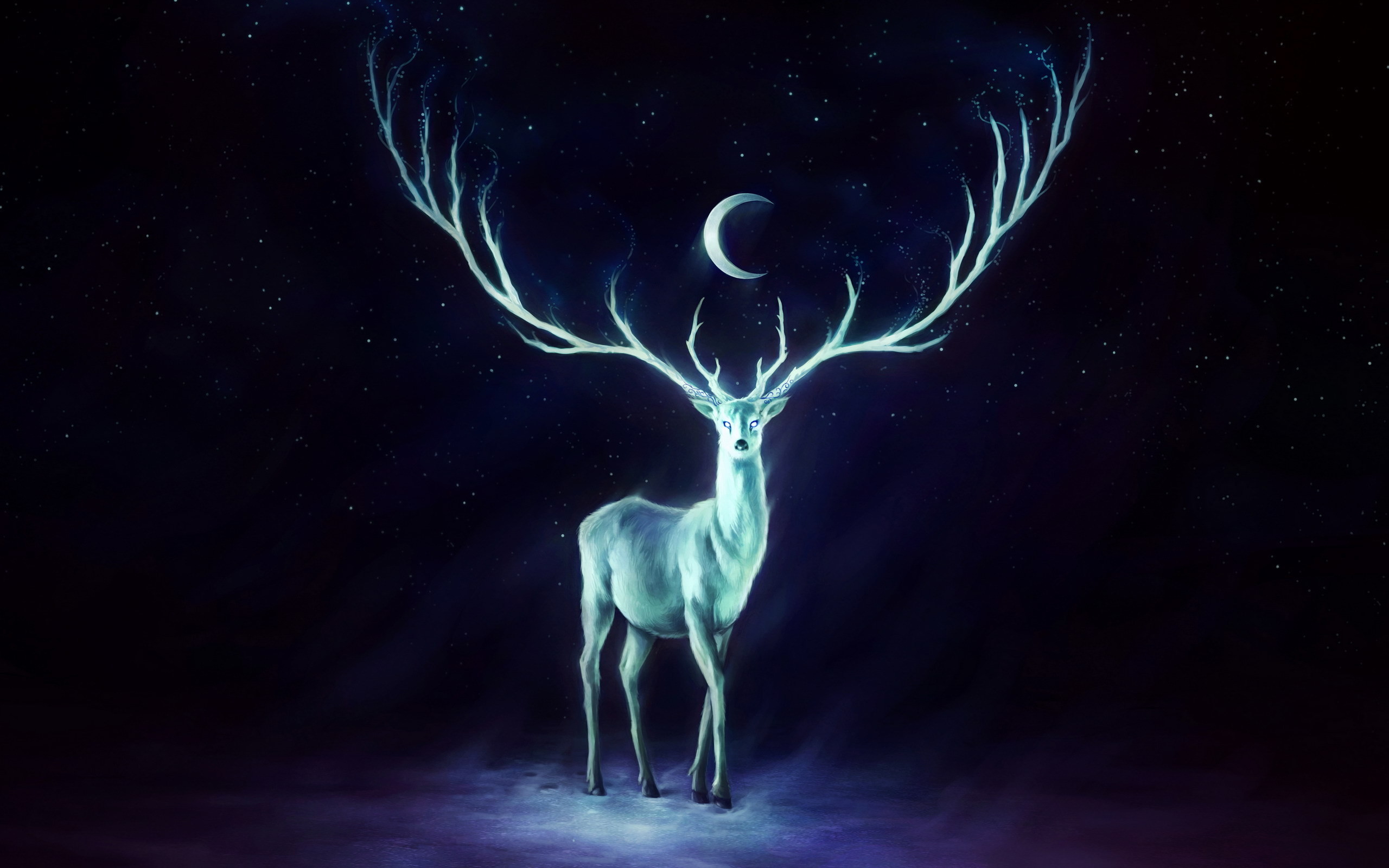wiccan wallpaper,light,deer,sky,darkness,electric blue