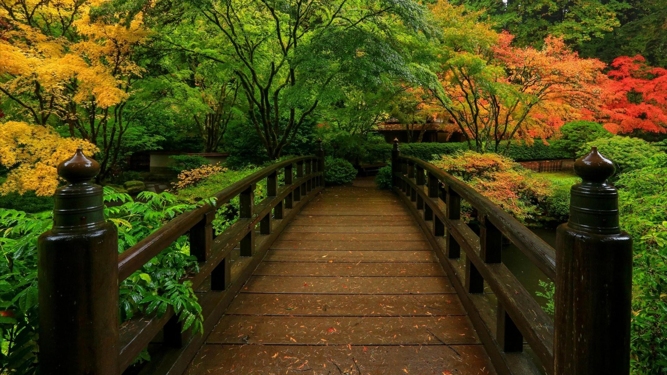 壁紙sfondi,自然,自然の風景,葉,木,秋