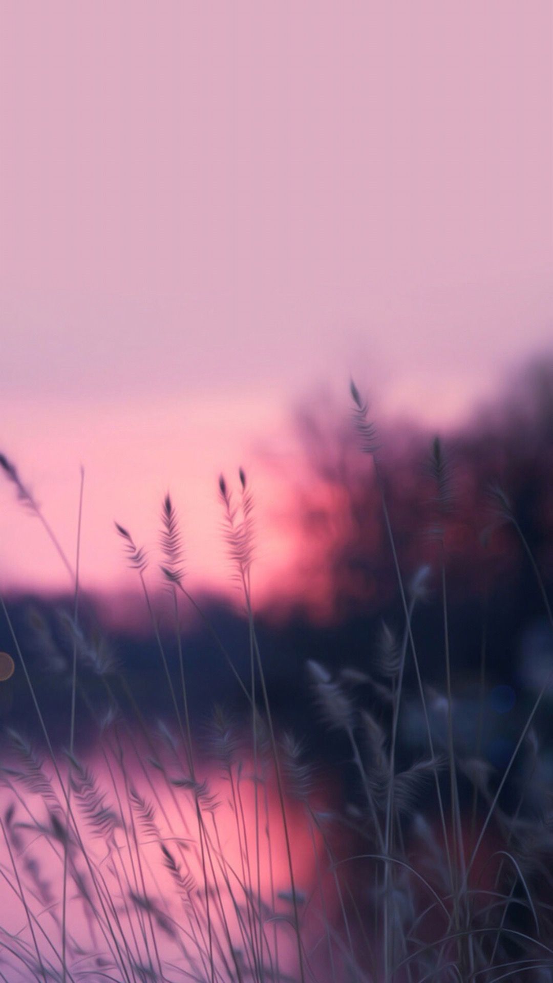 wallpaper sfondi,nature,sky,pink,atmospheric phenomenon,purple