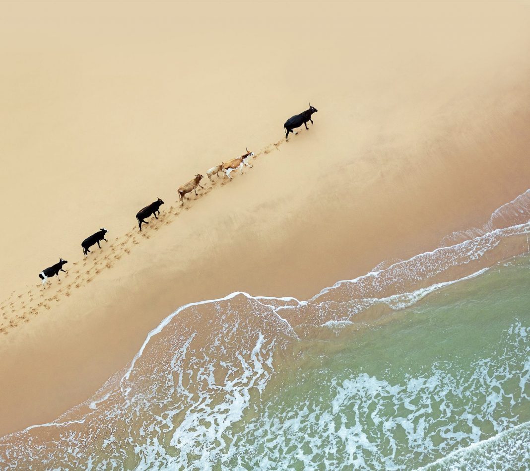 fond d'écran google pixel stock,le sable,l'eau,vague,mer,rive