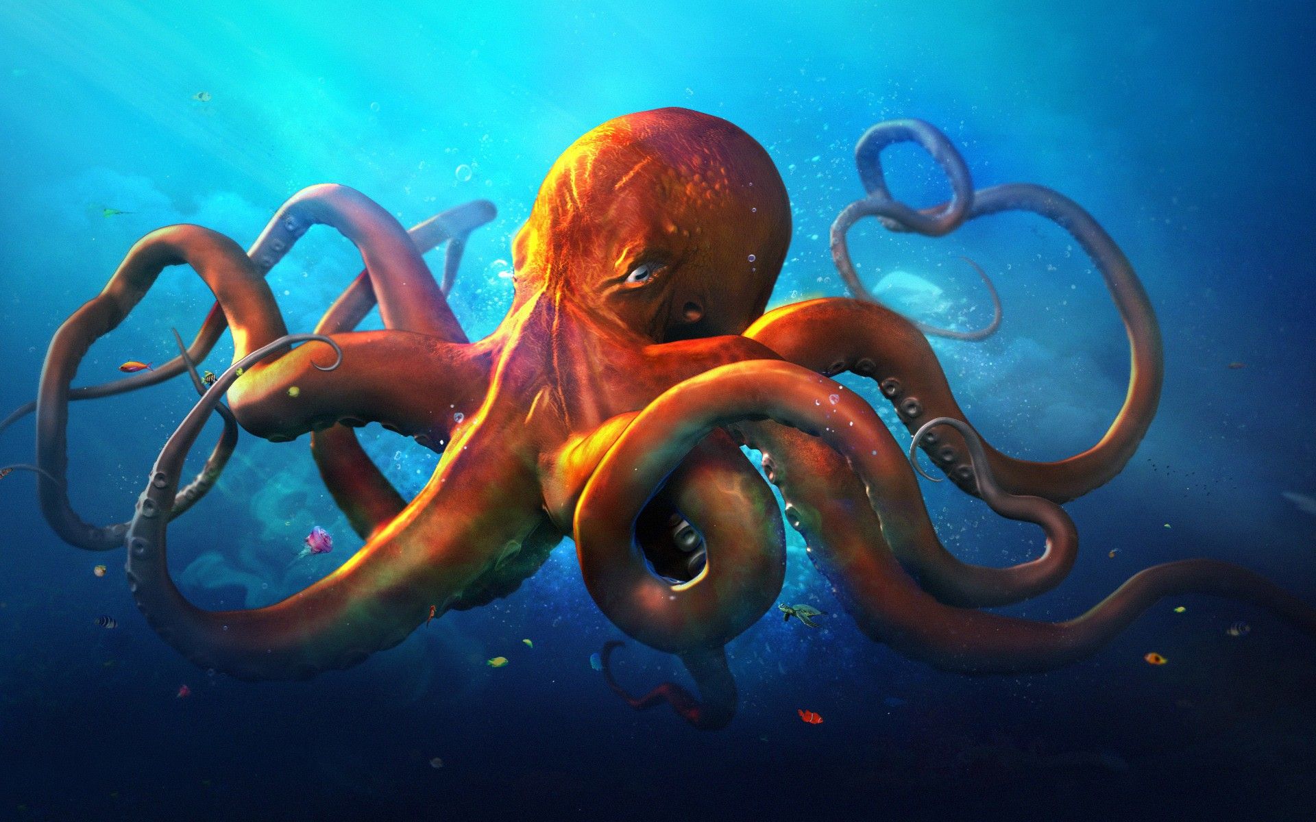 octopus wallpaper,octopus,giant pacific octopus,octopus,cephalopod,marine invertebrates