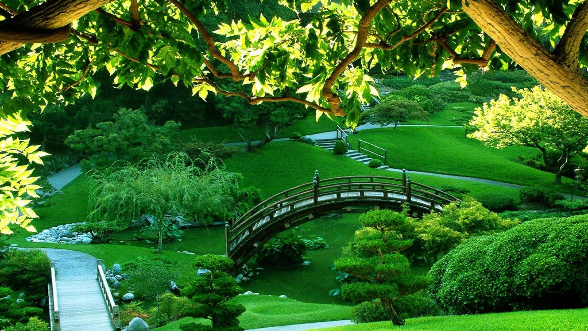 parc fond d'écran hd,paysage naturel,la nature,vert,jardin,herbe