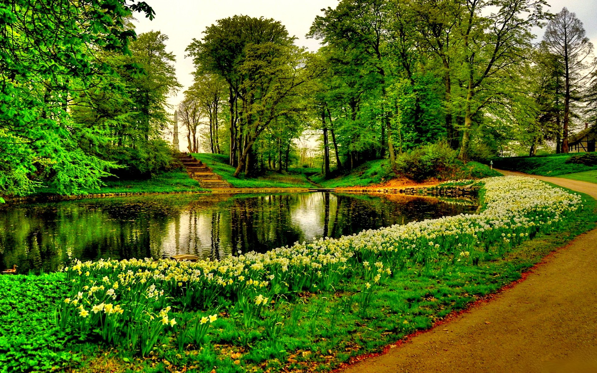 parque fondo de pantalla hd,paisaje natural,naturaleza,verde,reflexión,árbol