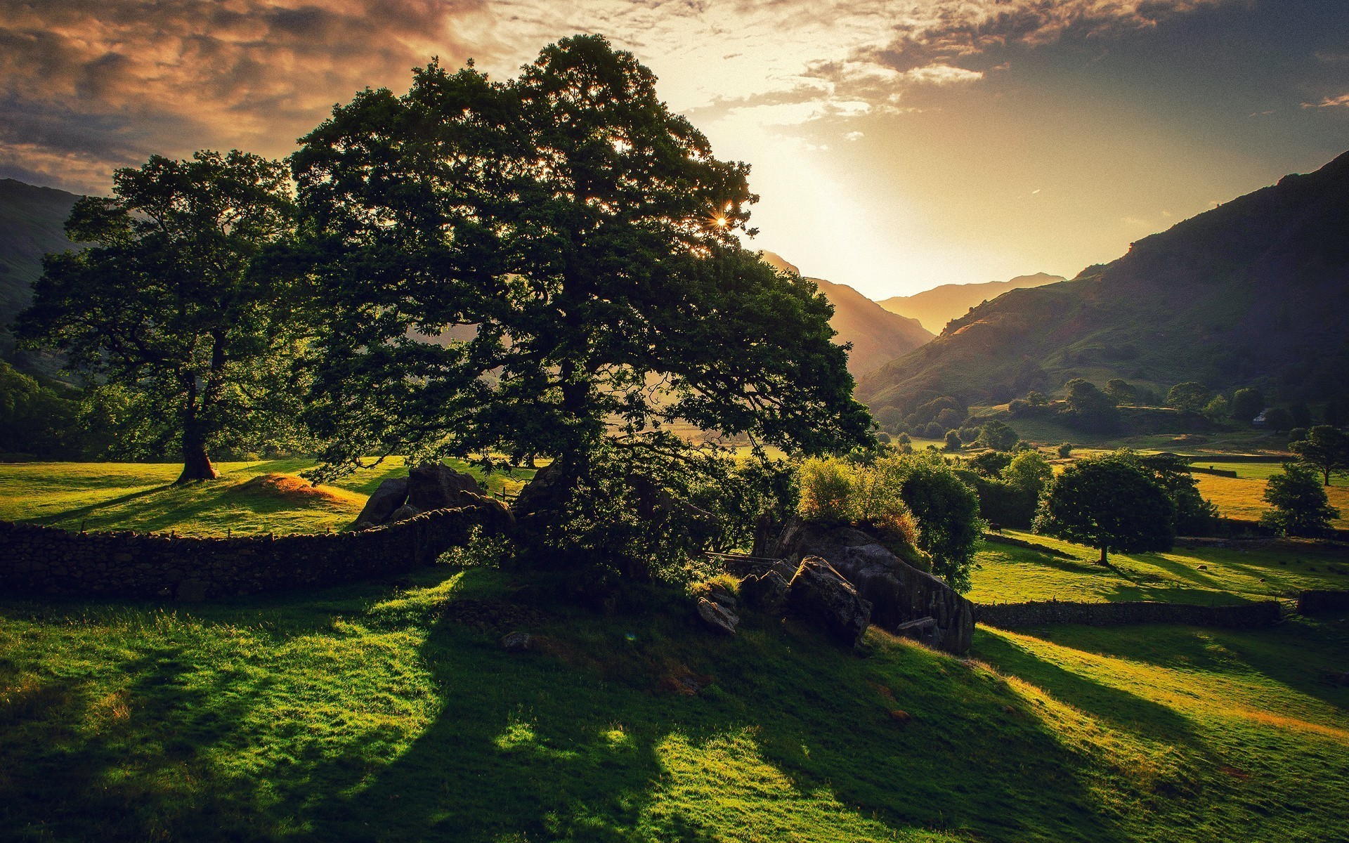 park hd wallpaper,sky,natural landscape,nature,green,cloud