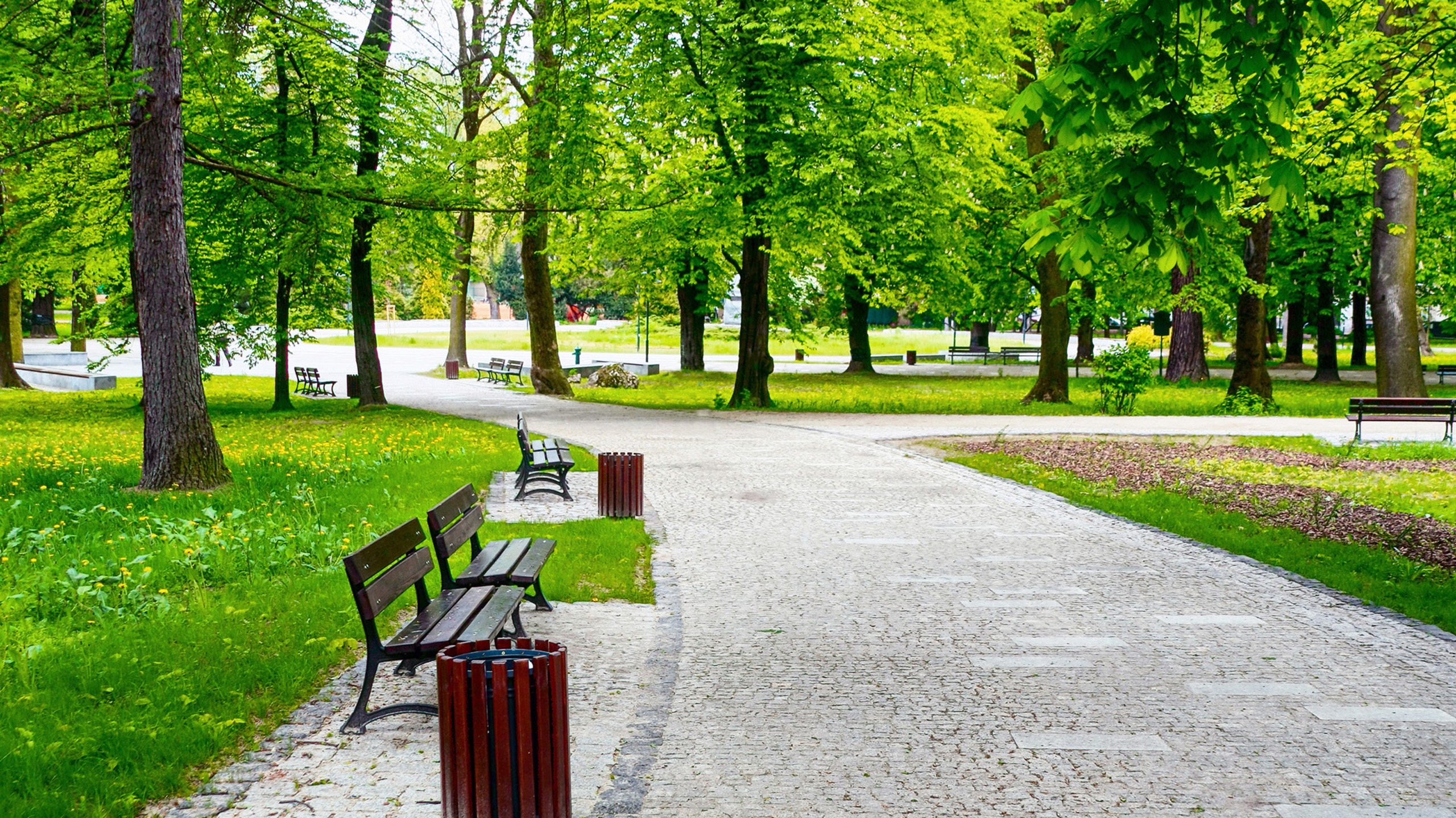 park hd wallpaper,natur,grün,natürliche landschaft,bank,baum