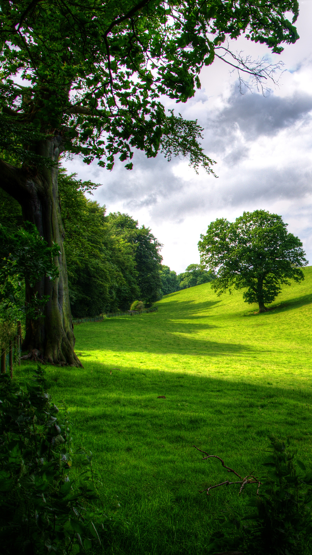 park hd wallpaper,natürliche landschaft,natur,grün,baum,wiese