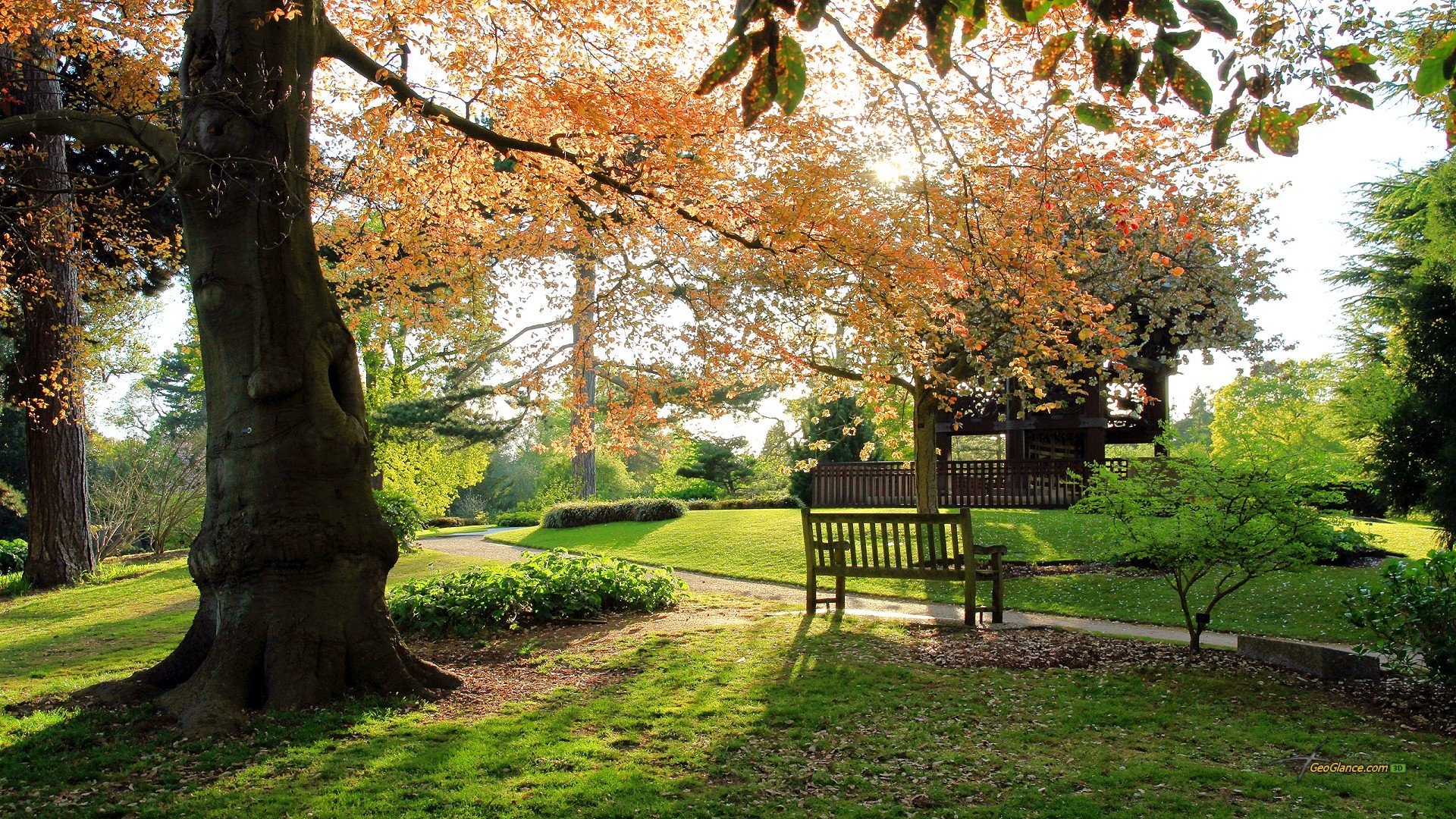 公園のhdの壁紙,自然の風景,木,自然,葉,春