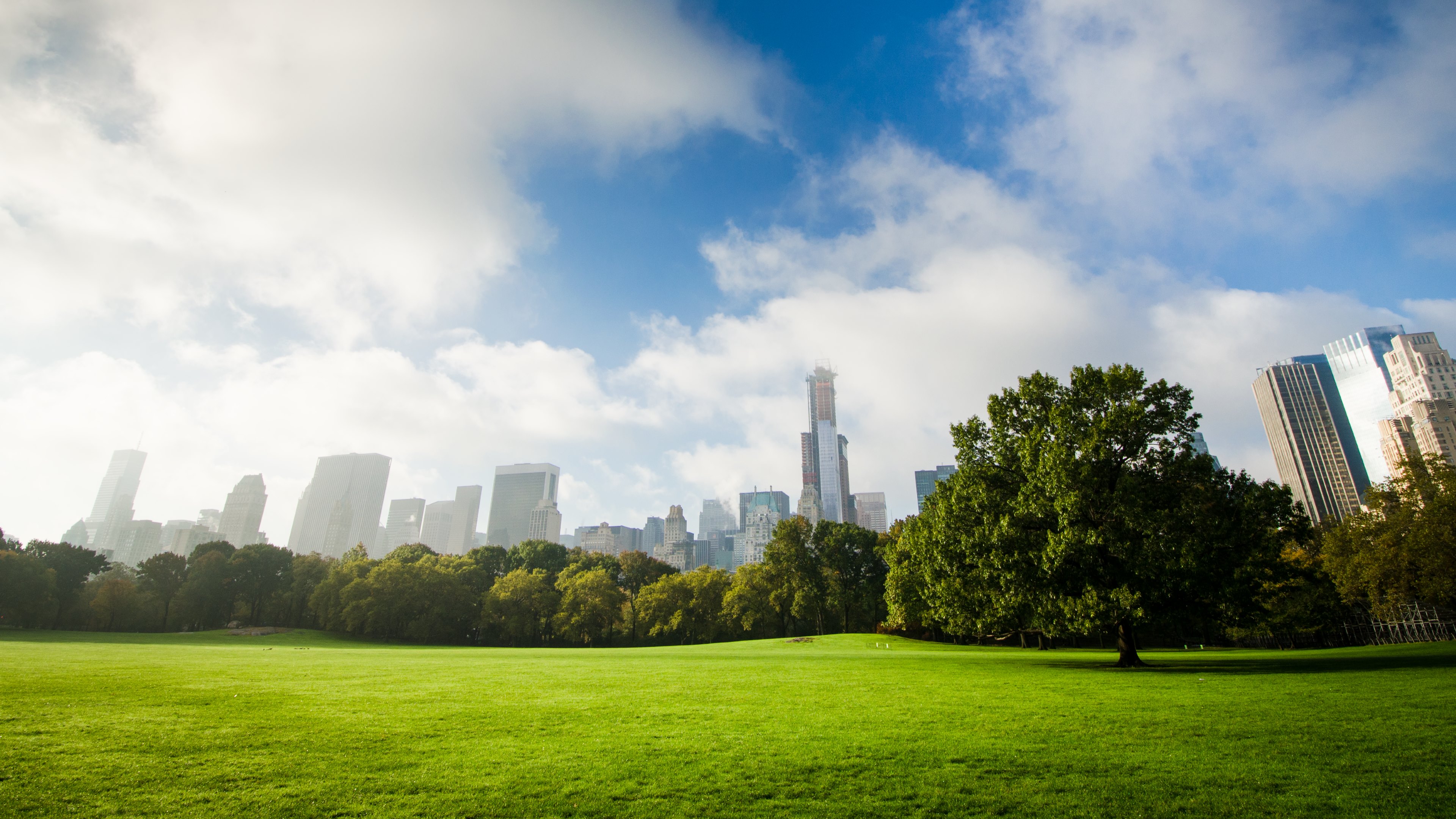 park hd wallpaper,himmel,tagsüber,grün,metropolregion,natur