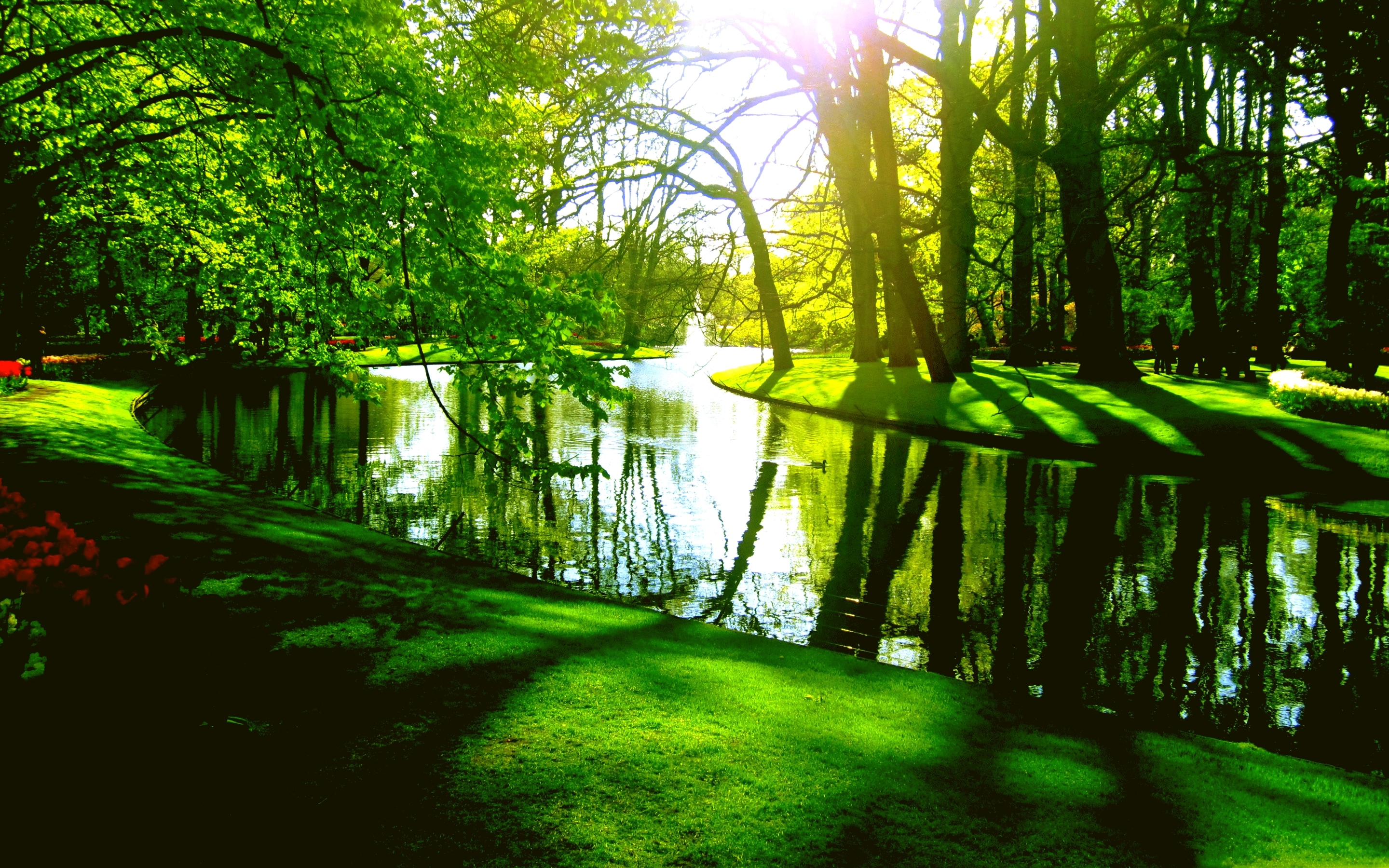 parque fondo de pantalla hd,paisaje natural,naturaleza,verde,árbol,reflexión