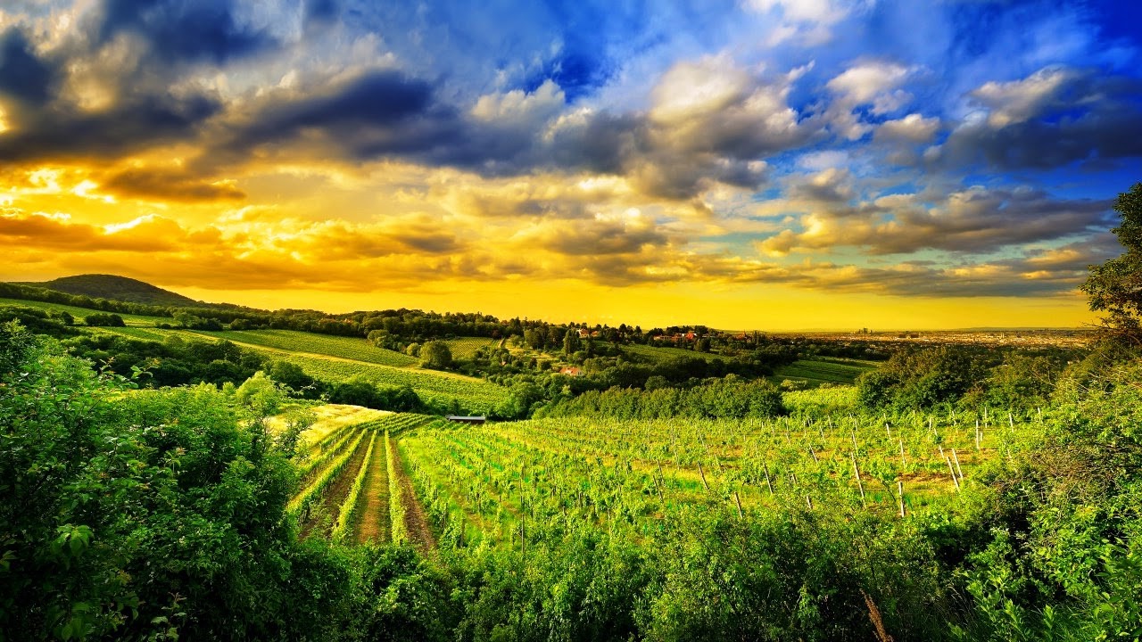 8k sfondi hd,cielo,paesaggio naturale,natura,campo,nube