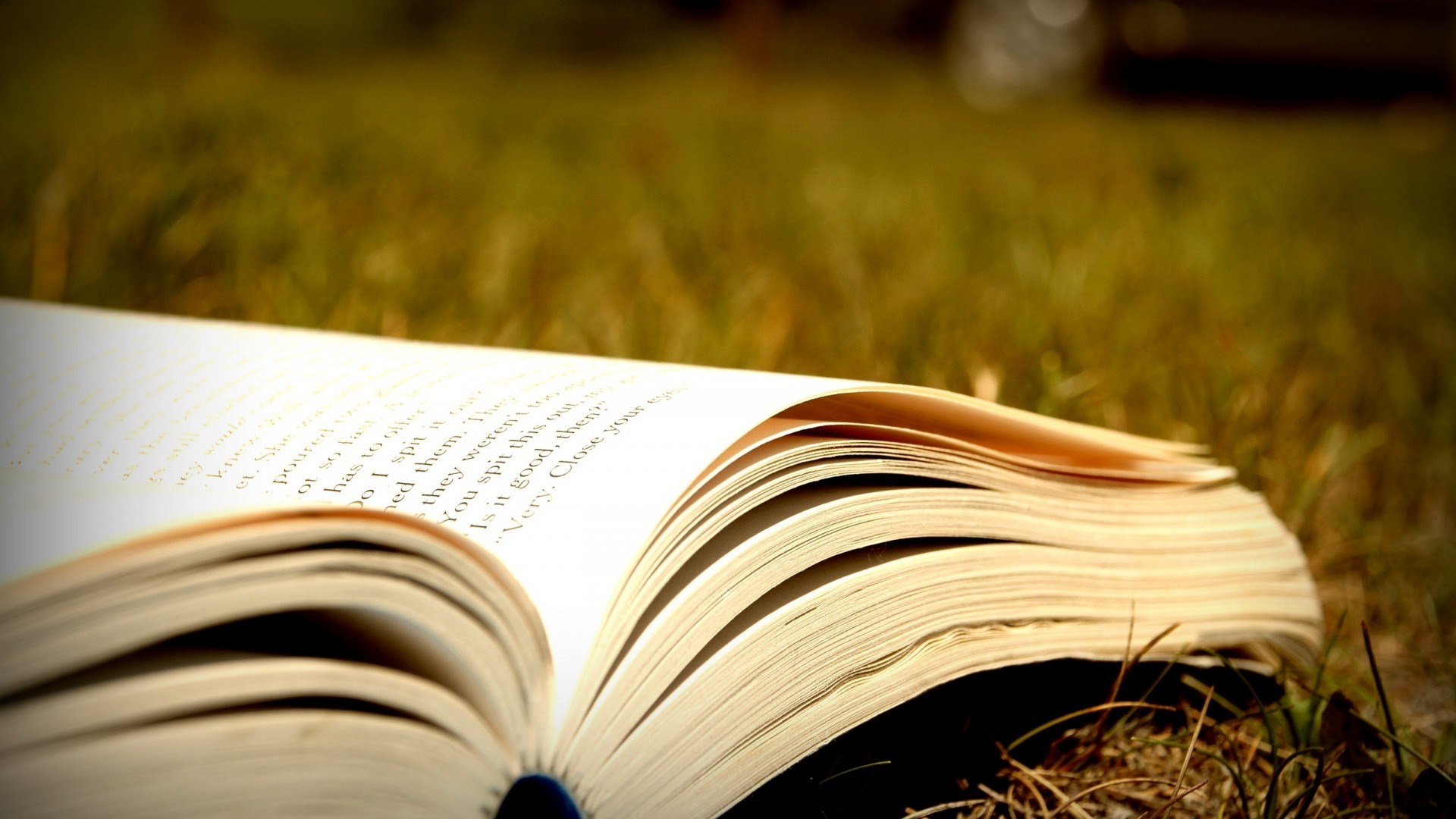 book wallpaper hd,book,reading,grass,text,close up