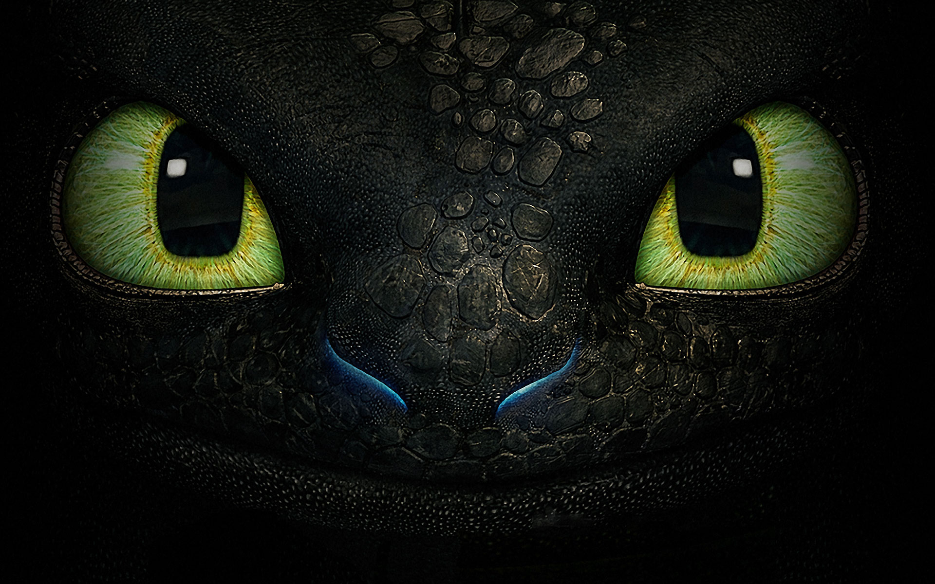 toothless wallpaper,green,black cat,face,cat,eye