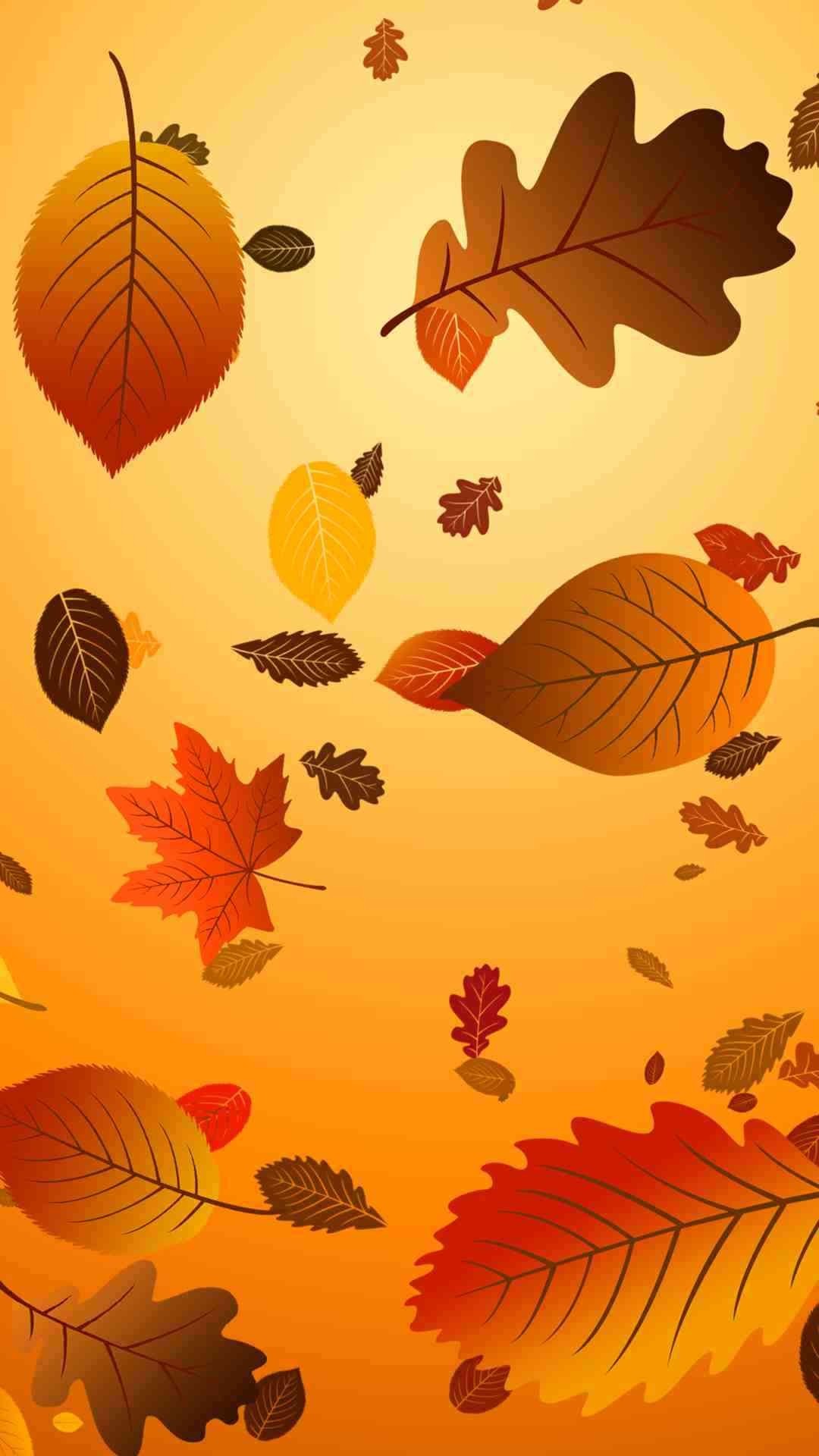 感謝祭の壁紙iphone,葉,オレンジ,黄,秋,木
