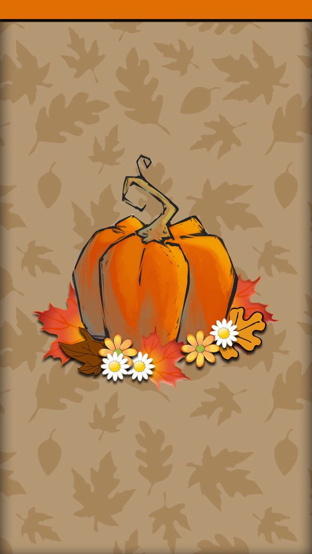 thanksgiving wallpaper iphone,orange,kürbis,das erntedankfest,pflanze,stillleben