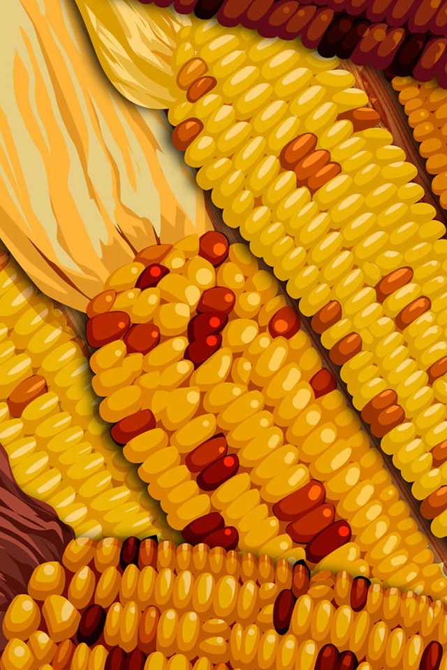 感謝祭の壁紙iphone,コーン穀粒,穂軸上のトウモロコシ,スイートコーン,穂軸上のトウモロコシ,野菜