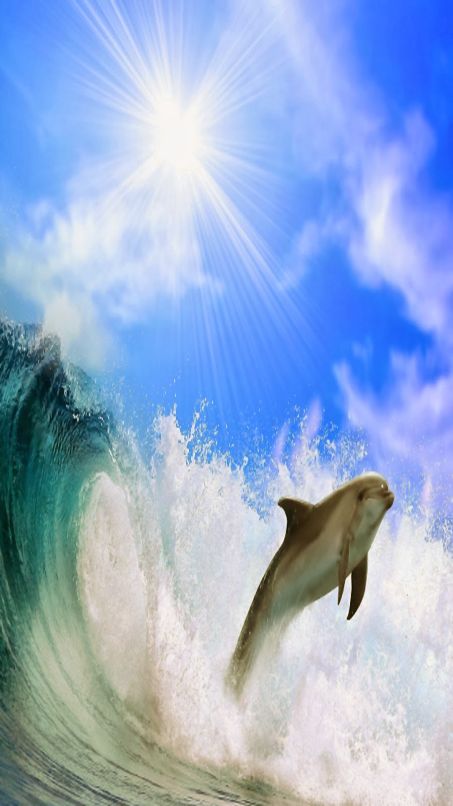 fond d'écran samsung s4,dauphin,grand dauphin,grand dauphin commun,mammifère marin,ciel