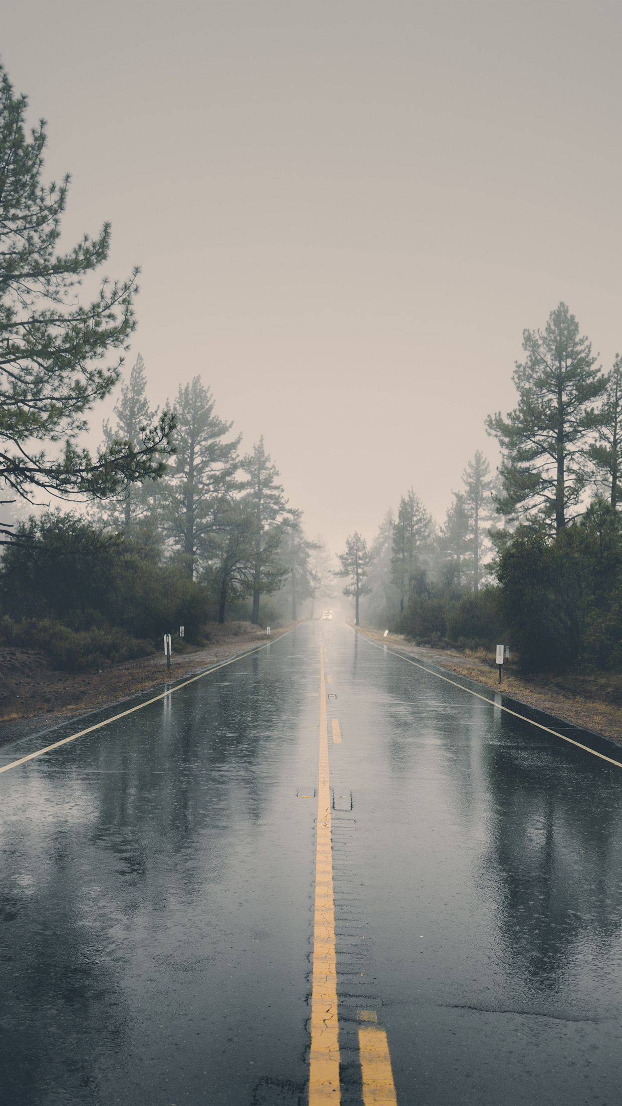 雨壁紙iphone,自然,水,反射,水路,空