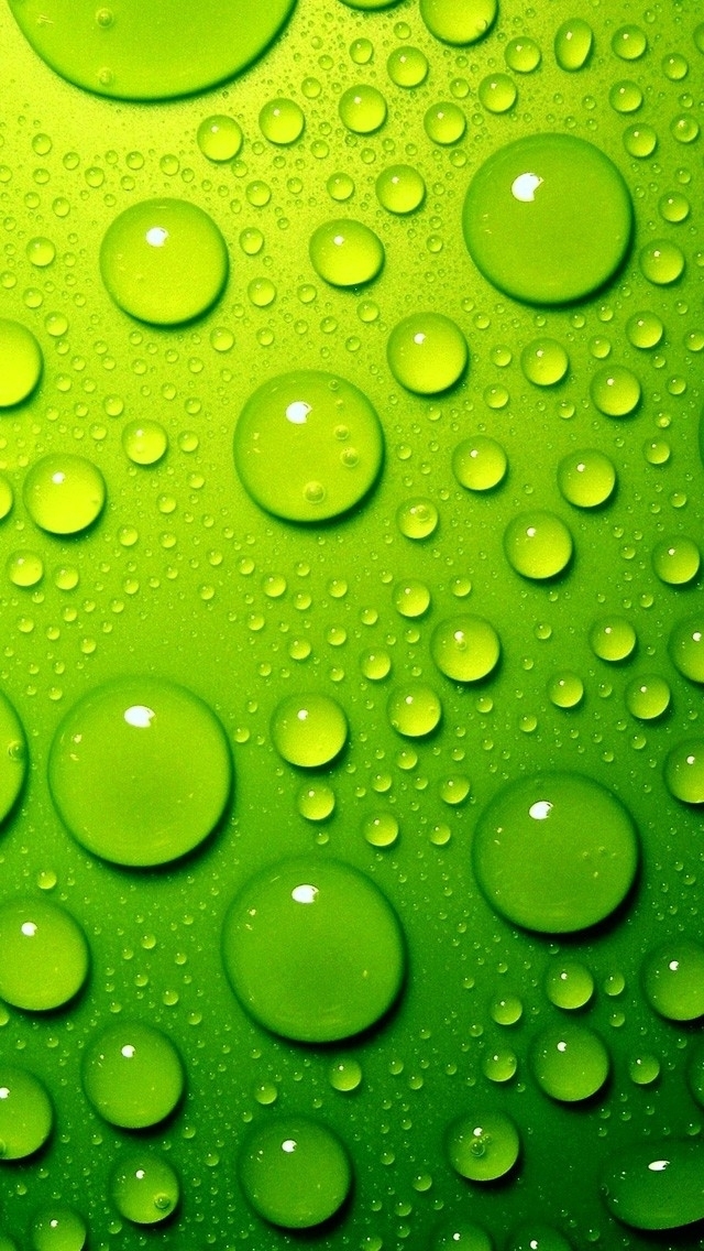 비 배경 아이폰,초록,하락,이슬,물,수분